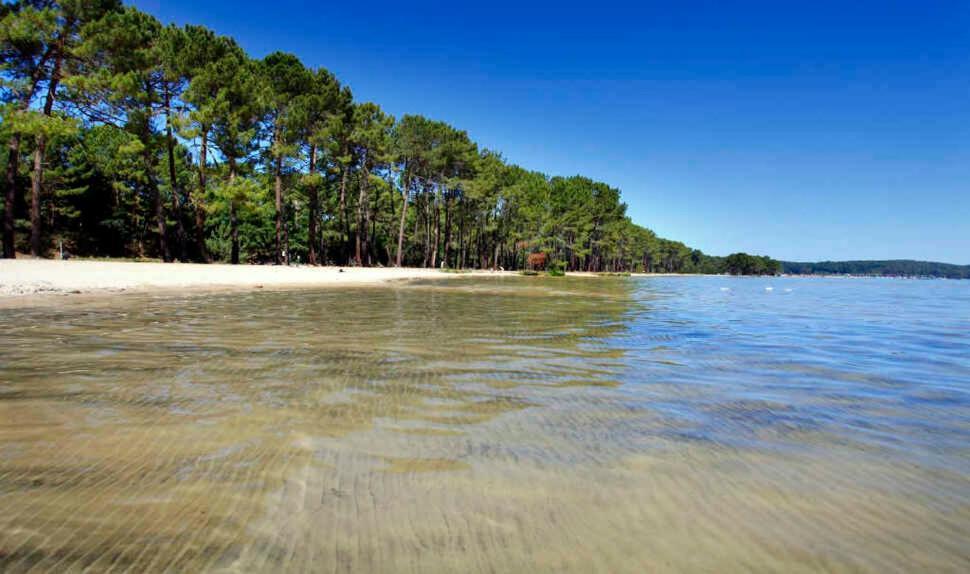 Location Biscarrosse Lac Extérieur photo